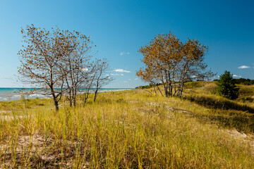 Looking south down the grass covered sand dunes within Kohler-Andrae State Park, near Sheboygan, Wisconsin on a beautiful mid-September morning.
