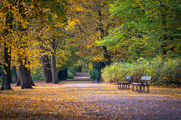 Warsaw, Poland - autumn alley in the park. Fall in the park. Beautiful autumn colors in the park.