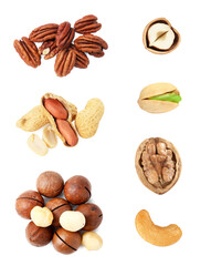 Macadamia and other nuts isolated on white, collection