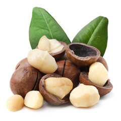 Macadamia nuts and green leaves on white background