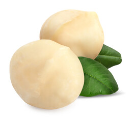 Macadamia nuts and green leaves on white background