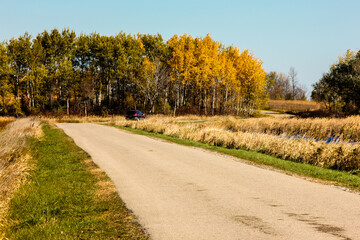 A visitor takes advantage of the great autumn weather in late October and drives the auto tour road within the Horicon National Wildlife Refuge near Waupun, Wisconsin.