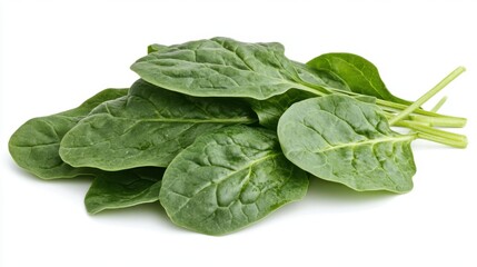 Fresh Green Lettuce Leaves on a White Background