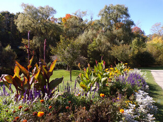 Fall landscape of the park