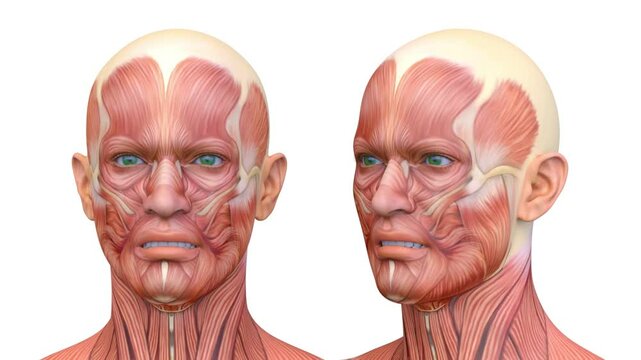 男性の顔アップ　3DCGレンダリング