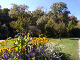 Fall landscape of the park