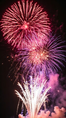  fireworks display captivates with its explosive beauty sparkling lights creates a mesmerizing spectacle that transforms the darkness into an enchanting wonderland