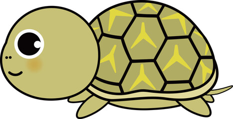 インドホシガメ-可愛い亀のイラスト