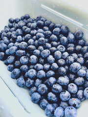 blueberries in a bowl