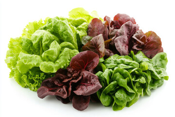 Fresh red and green lettuce isolated on white background..