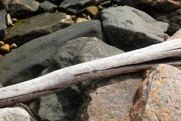 Driftwood on boulders at Cini Park in Niantic, Connecticut.