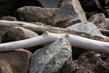 Bleached driftwood in glacial boulders at Cini Park in Connecticut.
