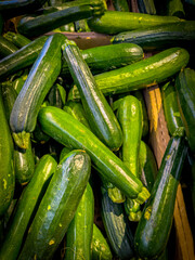 Vivid colors of autumn in food produce - ordinary zuchhini.