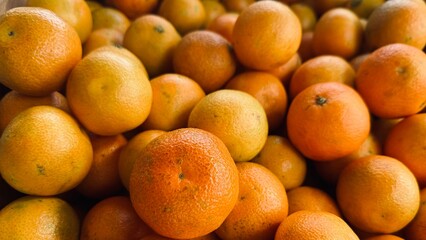 Fresh mandarin oranges fruit harvested.
