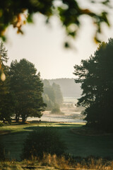 morning fog on golf filed