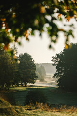 morning fog on golf filed