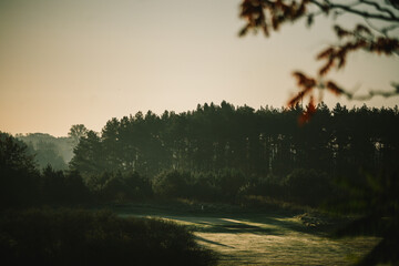 morning fog on golf filed