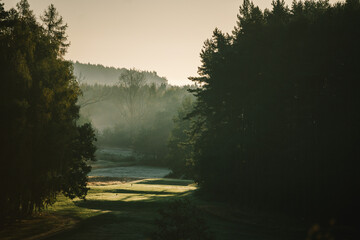 morning fog on golf filed