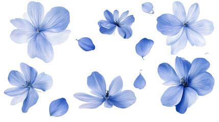 Obraz premium Blue floral pattern with butterflies and a seamless design featuring vibrant blooms and greenery, perfect for spring-themed decorations or wallpaper
