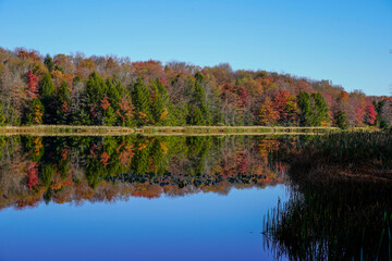 Beautiful fall day at Duman Lake County Park in Western Pennsylvania.  Colorful trees along one side of the lake. Amazing reflection of the trees on the water.