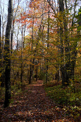 Beautiful fall morning on a trail at Duman Lake County Park in Western Pennsylvania. Colorful leaves on trees and trail.