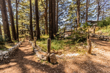 Hiking trails in the Cedars of God forest, Lebanon