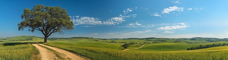 Fototapeta premium A dirt road winds through rolling green hills, with a lone tree standing tall in the foreground. The sky is bright blue with puffy white clouds.