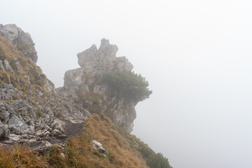 Misty mountain trail with a rocky outcrop and sparse vegetation disappearing into the fog. Concept of remote hiking, wilderness adventure, and rugged nature landscapes. High quality photo