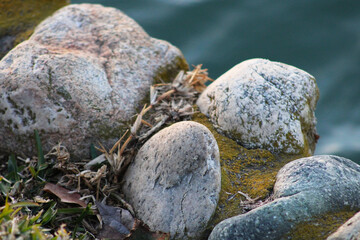 gray rocks lined next to water's edge
