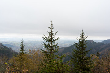 Beautiful panoramic mountain scene with dense evergreen trees and a distant village in the valley, framed by autumn foliage. Tranquil nature, serene landscapes, quiet beauty of fall in the mountains.