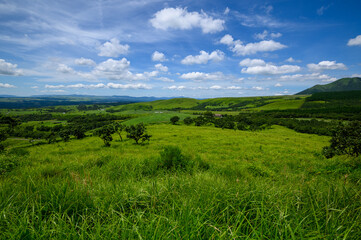 Obraz premium 阿蘇の夏空