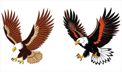 Obraz premium Bald eagle flying draw and paint on white background vector illustration