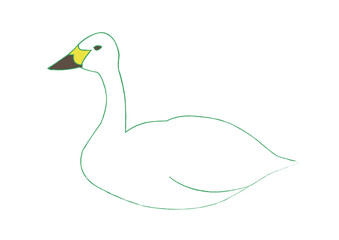 ハクチョウのイラスト