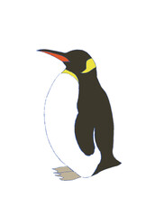 Fototapeta premium ペンギンのイラスト