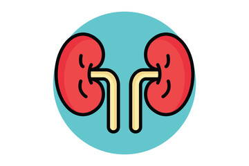 Kidney icon. colored outline icon style. icon related to medical. health elements vector illustration