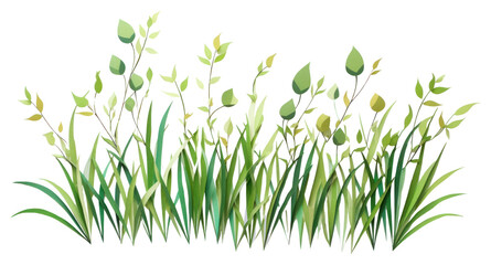 Fototapeta premium PNG Grass flower plant green.