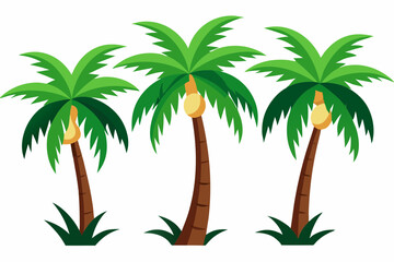  Beautiful coconut trees vector art illustration 