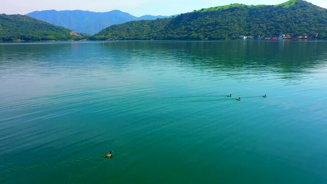 Laguna tranquila con patos nadando Santa Maria del oro Nayarit Mexico hermoso paisaje de la naturaleza laguna rodeada de monta&ntilde;as arboladas
