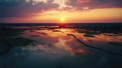 Serene Sunset Over Tranquil Wetlands and Water Reflection