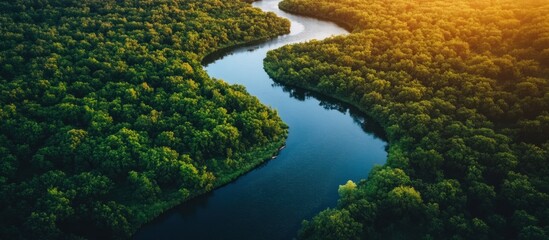 Aerial view of a winding river through a dense forest.
