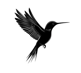 Fototapeta premium black hummingbird silhouette on a white background