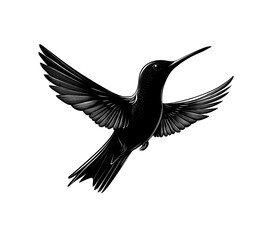 Naklejka premium black hummingbird silhouette on a white background