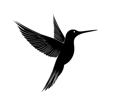 recommend clip art: black hummingbird silhouette on a white background