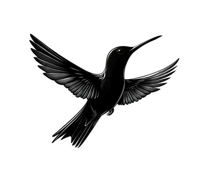 recommend clip art: black hummingbird silhouette on a white background