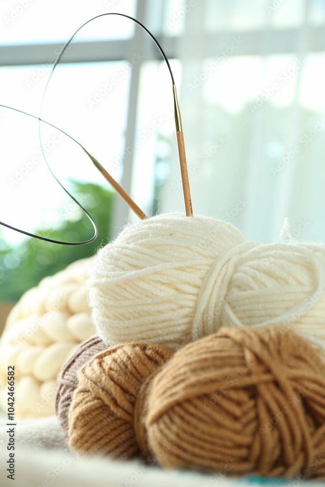 Wall mural Skeins of yarn and knitting needles on soft blanket, closeup