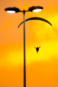 Silhouette of a paraglider in the urban sky. Blurred light post in the foreground. Image focus on the paraglider in the background. Orange sky during sunset.