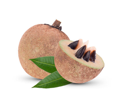 sapodilla fruit isolate on white background