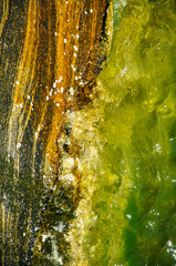 Sunny day, rocky coastline, and smooth, blurred waves due to a long exposure technique.