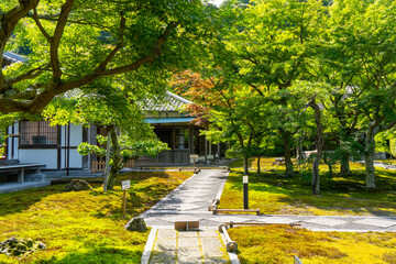 Obraz premium Japanese garden