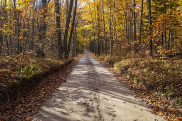 Fototapeta premium Rifle River State Recreation Area - Ogemaw County Michigan